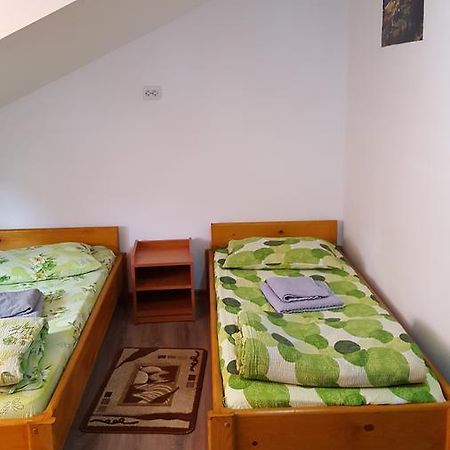 Sasca Montană Casa Borcean 빌라 외부 사진