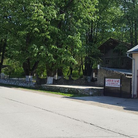 Sasca Montană Casa Borcean 빌라 외부 사진