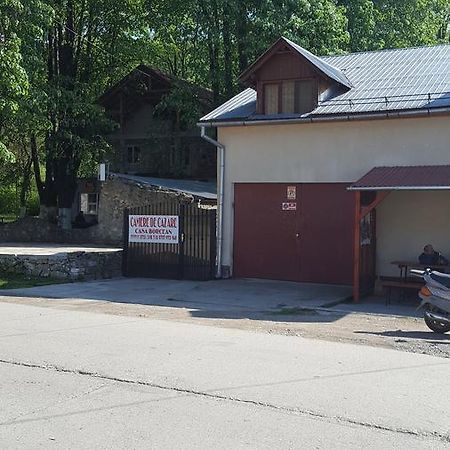 Sasca Montană Casa Borcean 빌라 외부 사진