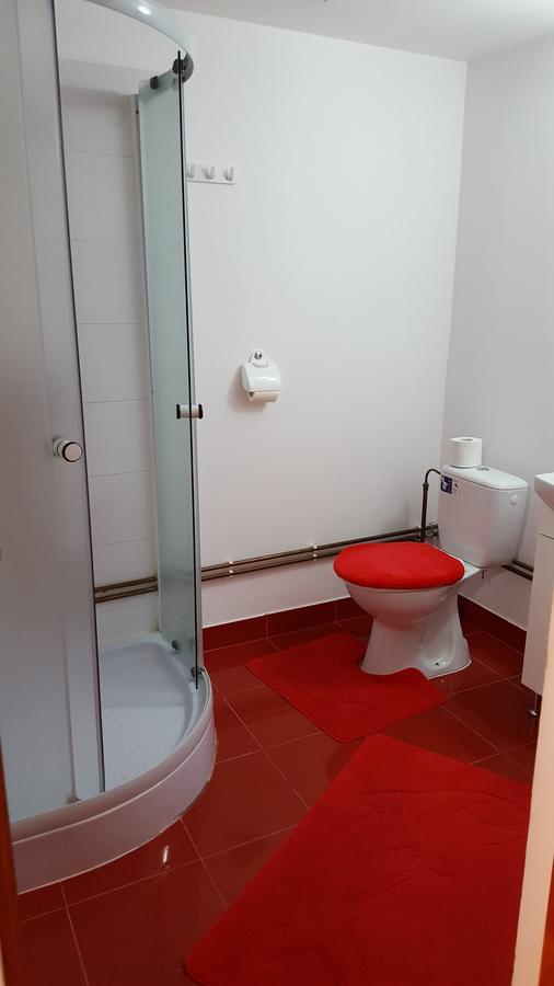 Sasca Montană Casa Borcean 빌라 외부 사진