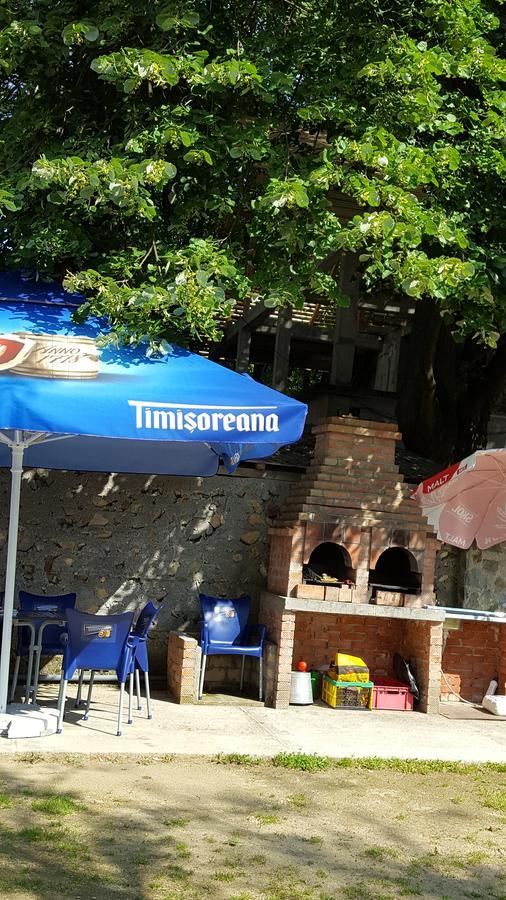 Sasca Montană Casa Borcean 빌라 외부 사진