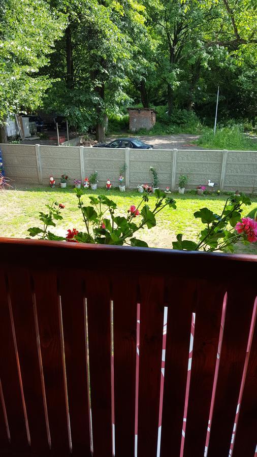 Sasca Montană Casa Borcean 빌라 외부 사진