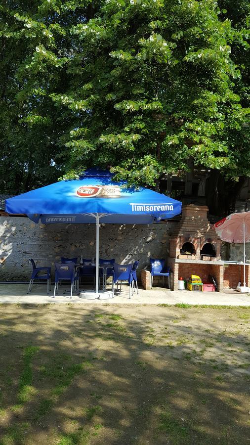 Sasca Montană Casa Borcean 빌라 외부 사진